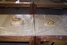 100_9899.jpg